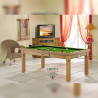 Billard Cardiff